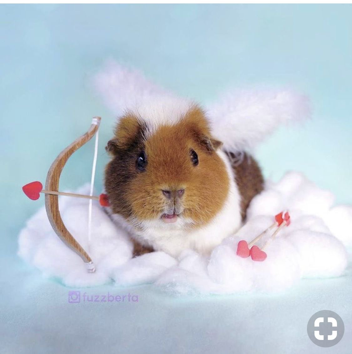 b2sideu's tweet image. 월말정산 🏹🏹
10월은 더 꽉꽉 채워야짛