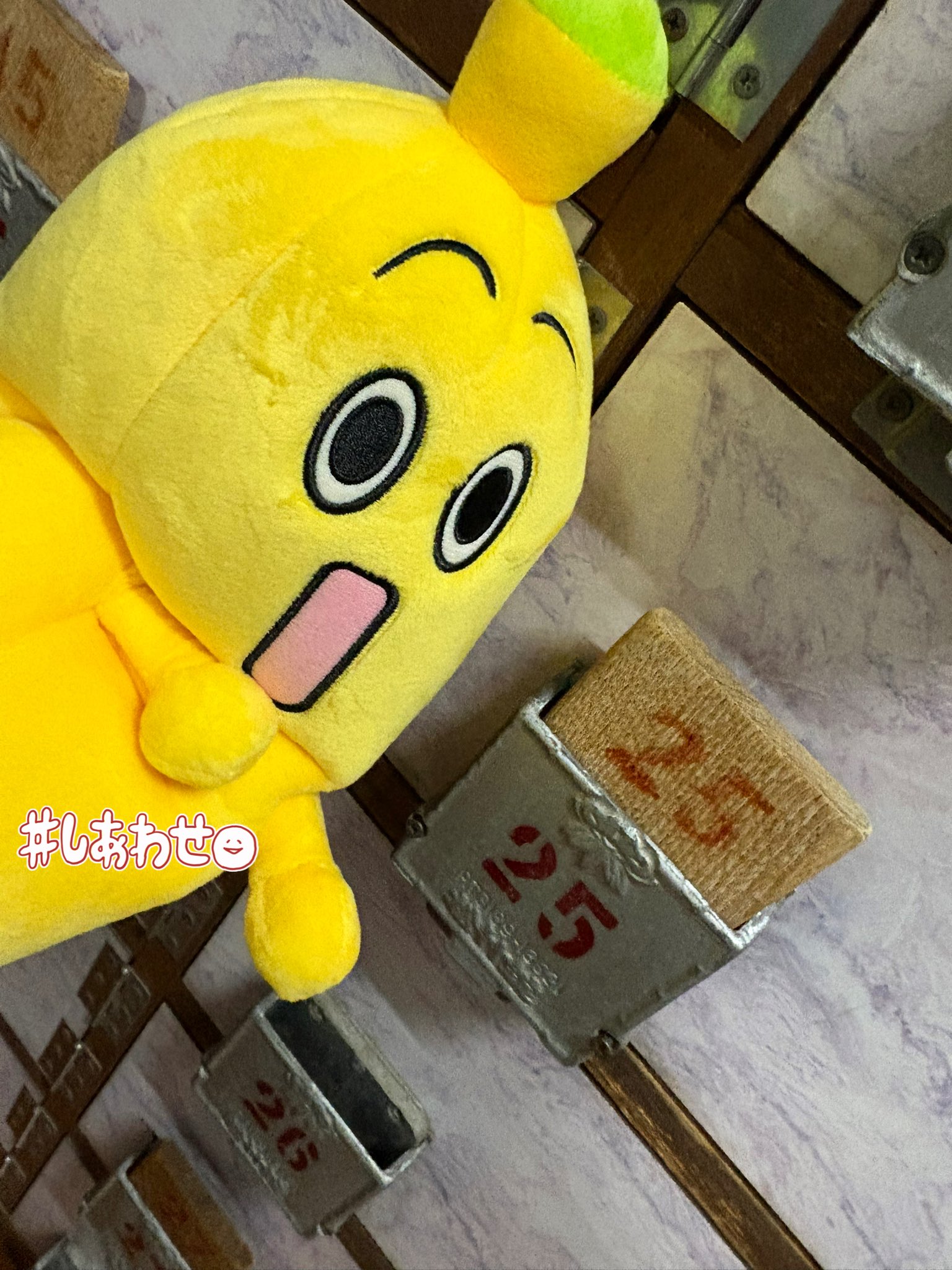 【希少本】 原色 小笠原の魂 希少本】 原色 小笠原の魂 小笠原諸島返還50周年記念誌「原色