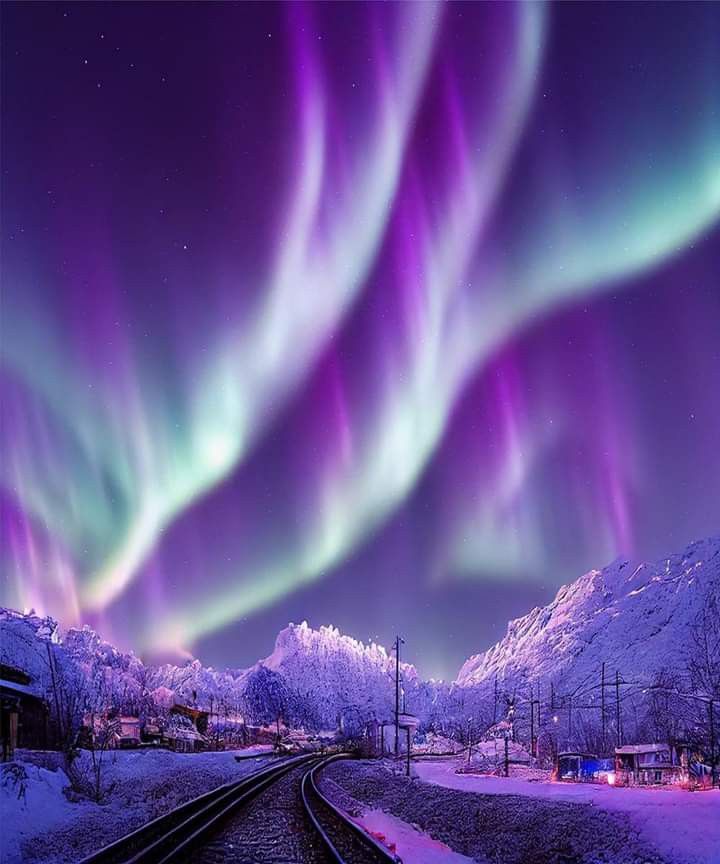 Aesthetics (@aestheticspost_) on Twitter photo 