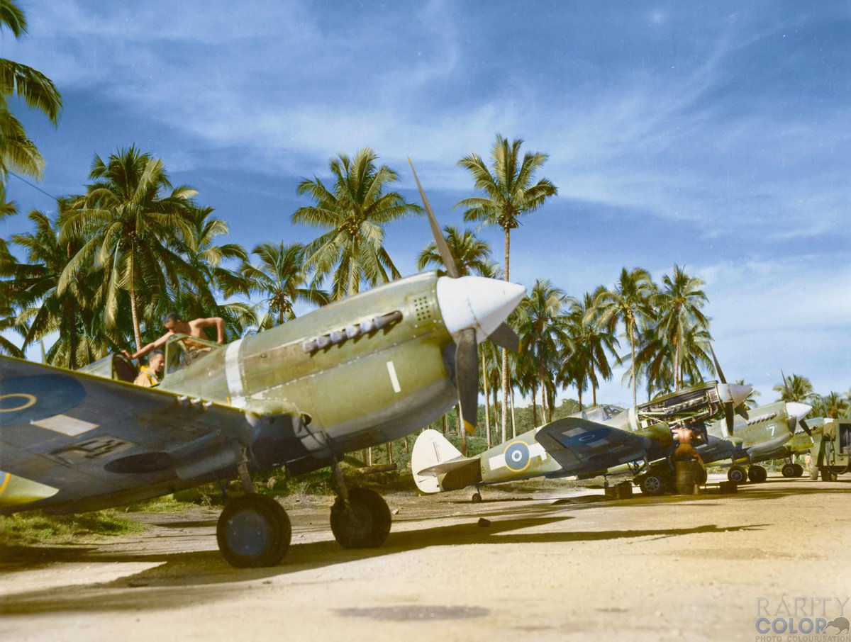 RNZAF P-40 Kittyhawks at Kukum airfield, Guadalcanal. 1943

RNZAF Official photo 

Colourised by Rarity Color

#wwii #ww2 #aviation #history