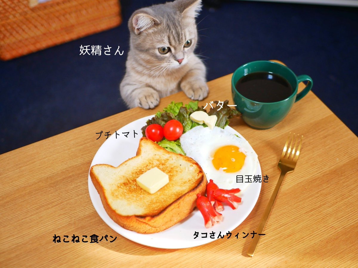 うちの妖精さん🍞