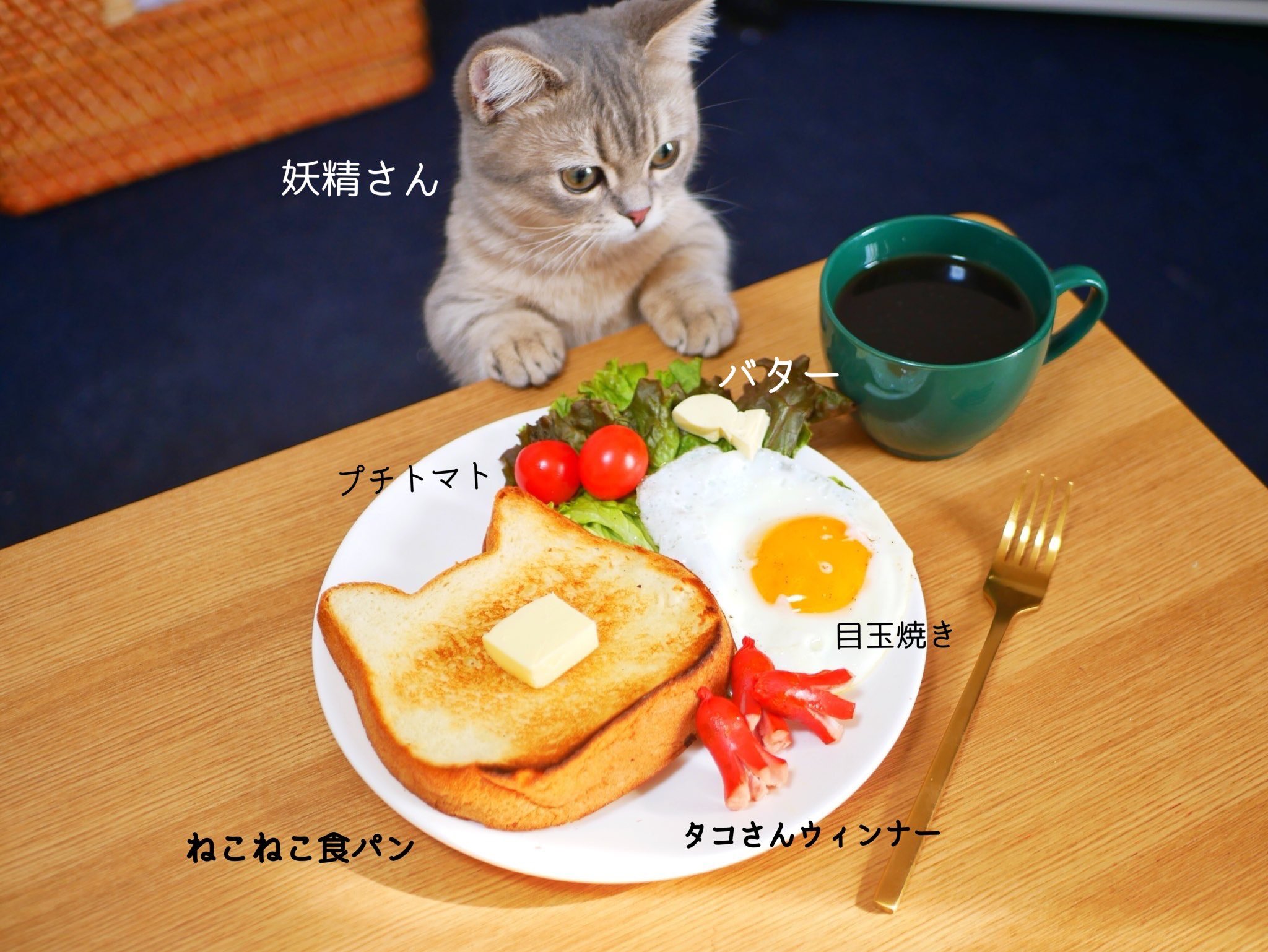 猫ちゃんトースト ハムエッグ フェイクフード 食品サンプル ポニーフック 猫ちゃんトースト ハムエッグ フェイクフード 食品サンプル