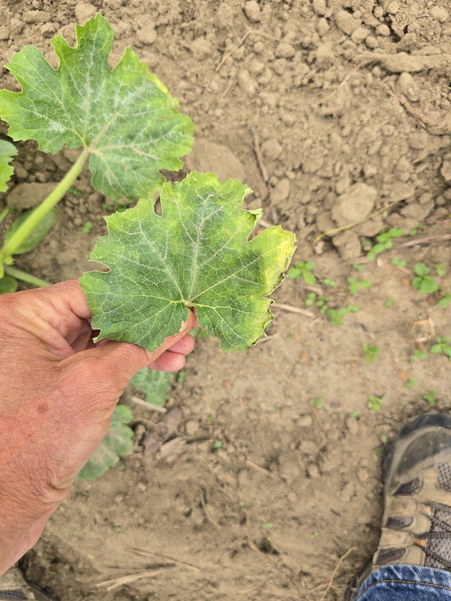 Tim Flanders tweet media