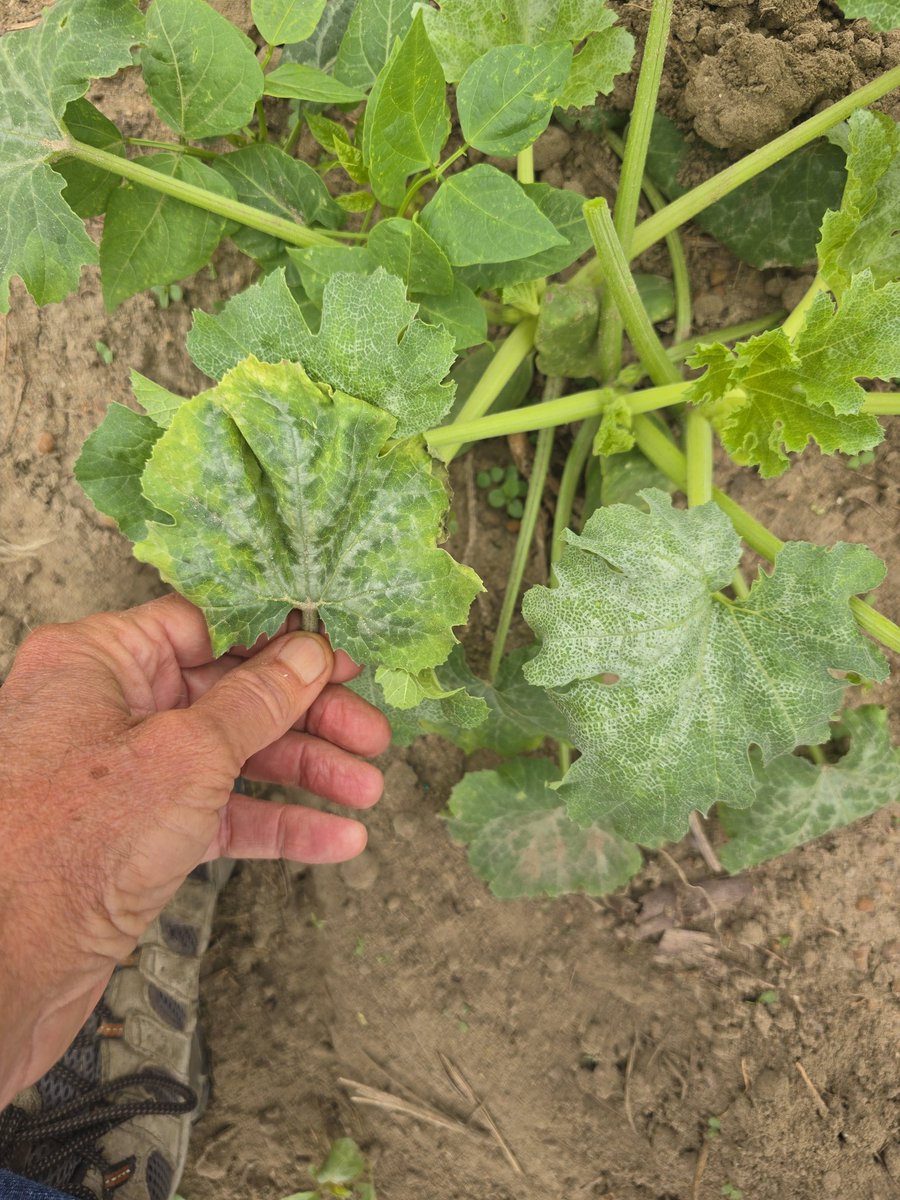 Tim Flanders tweet media