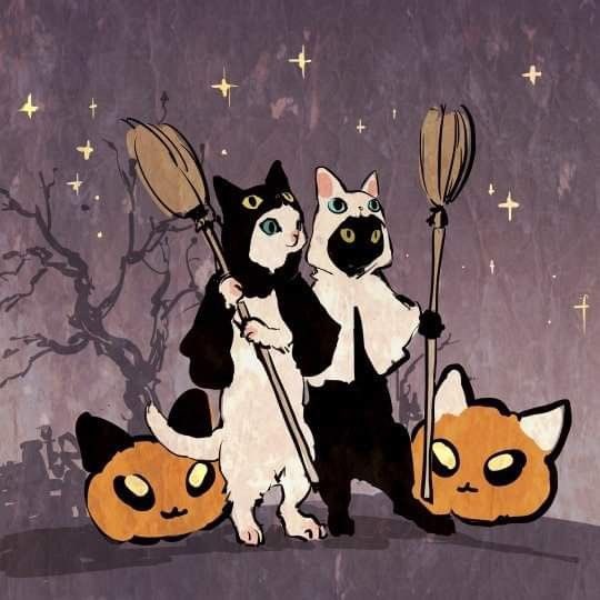 wparun's tweet photo. Feliz primerooooo de octubre https://t.co/TUgXgMWXUY