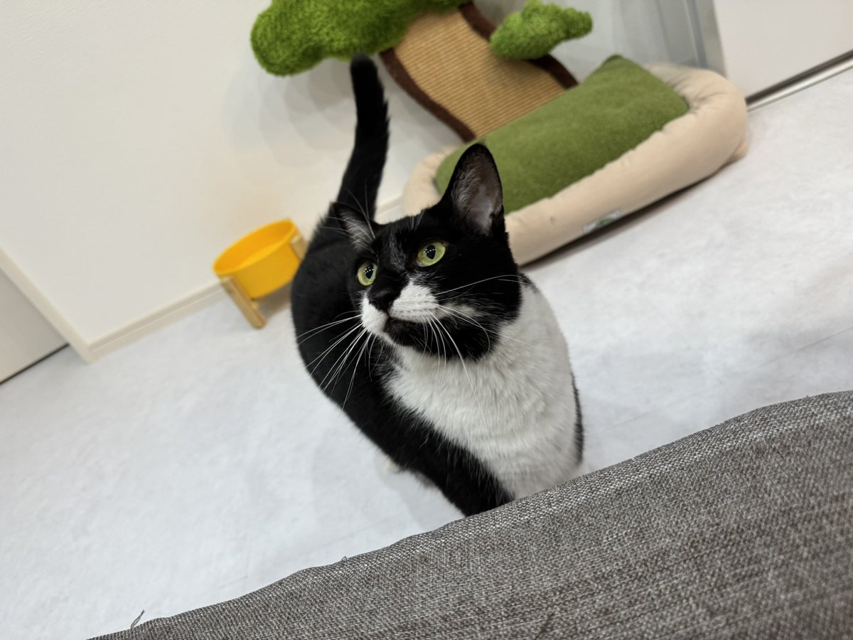 かずまさん (@99kazmax) / X