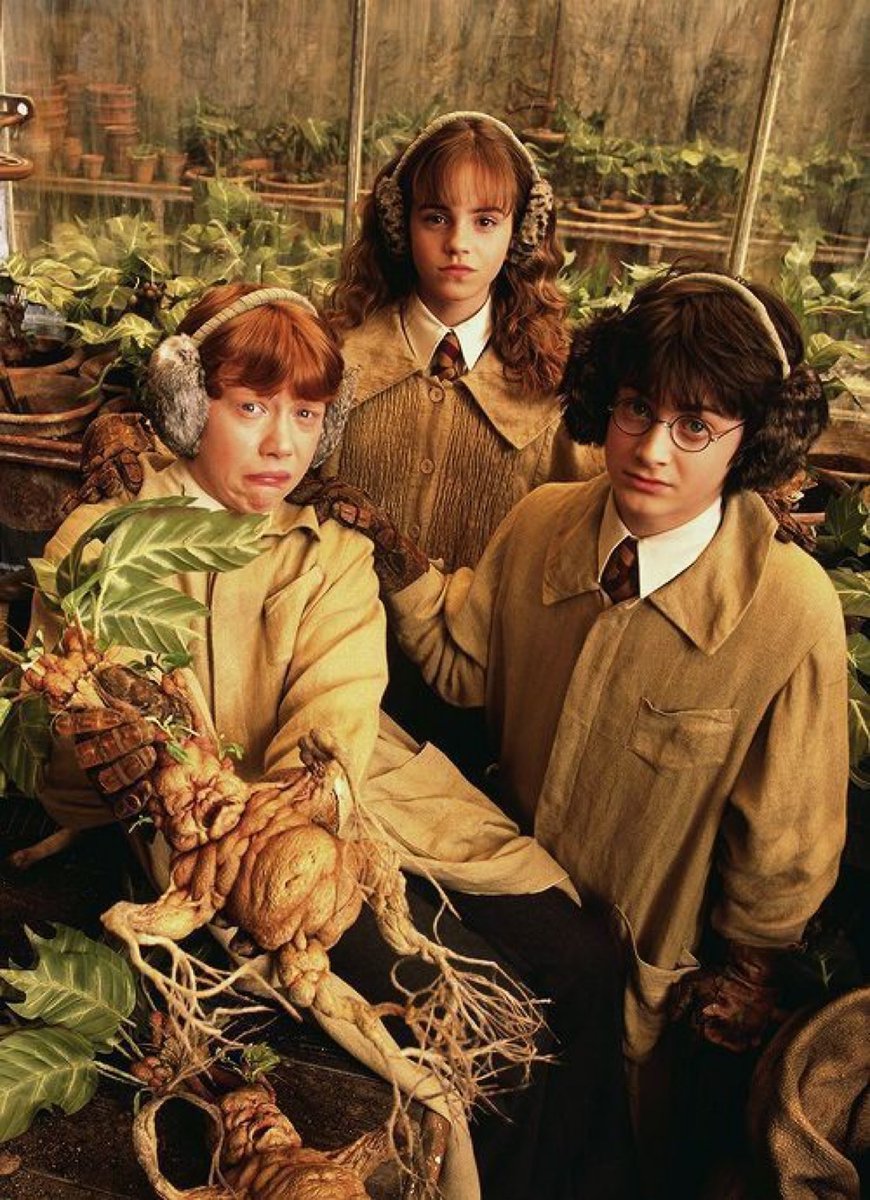 It’s time for Herbology class 🌱