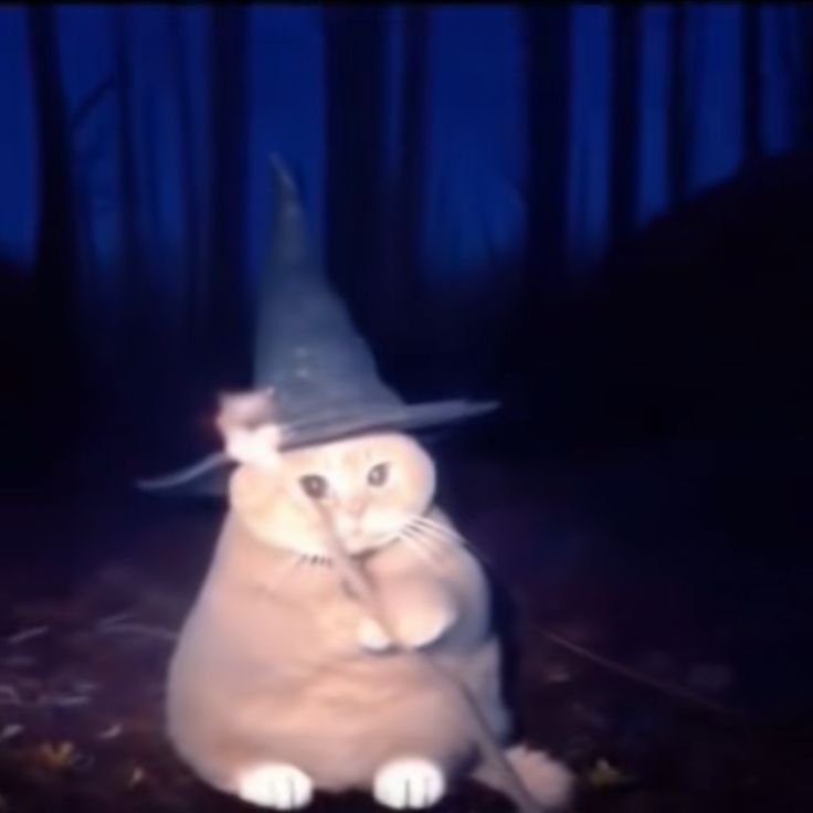 mareajuse's tweet image. buen día