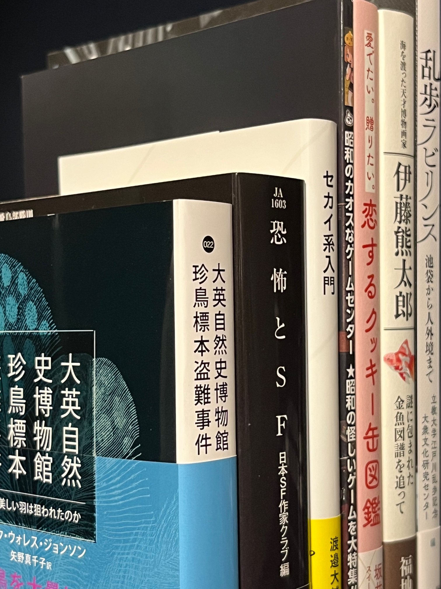 一条怪聞録 摩楼館怪奇事件簿 さくさく on X: 