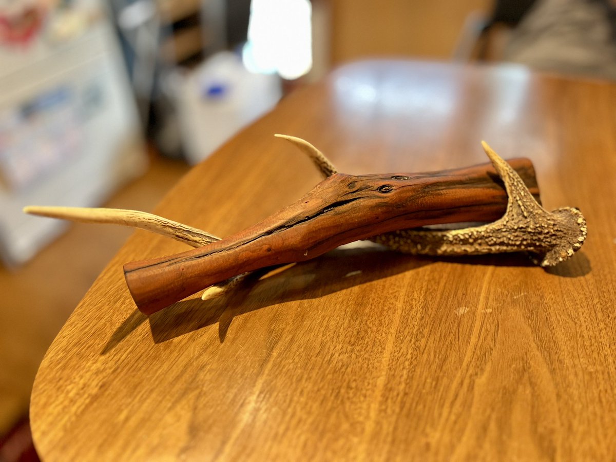 堀田裕介 tweet media