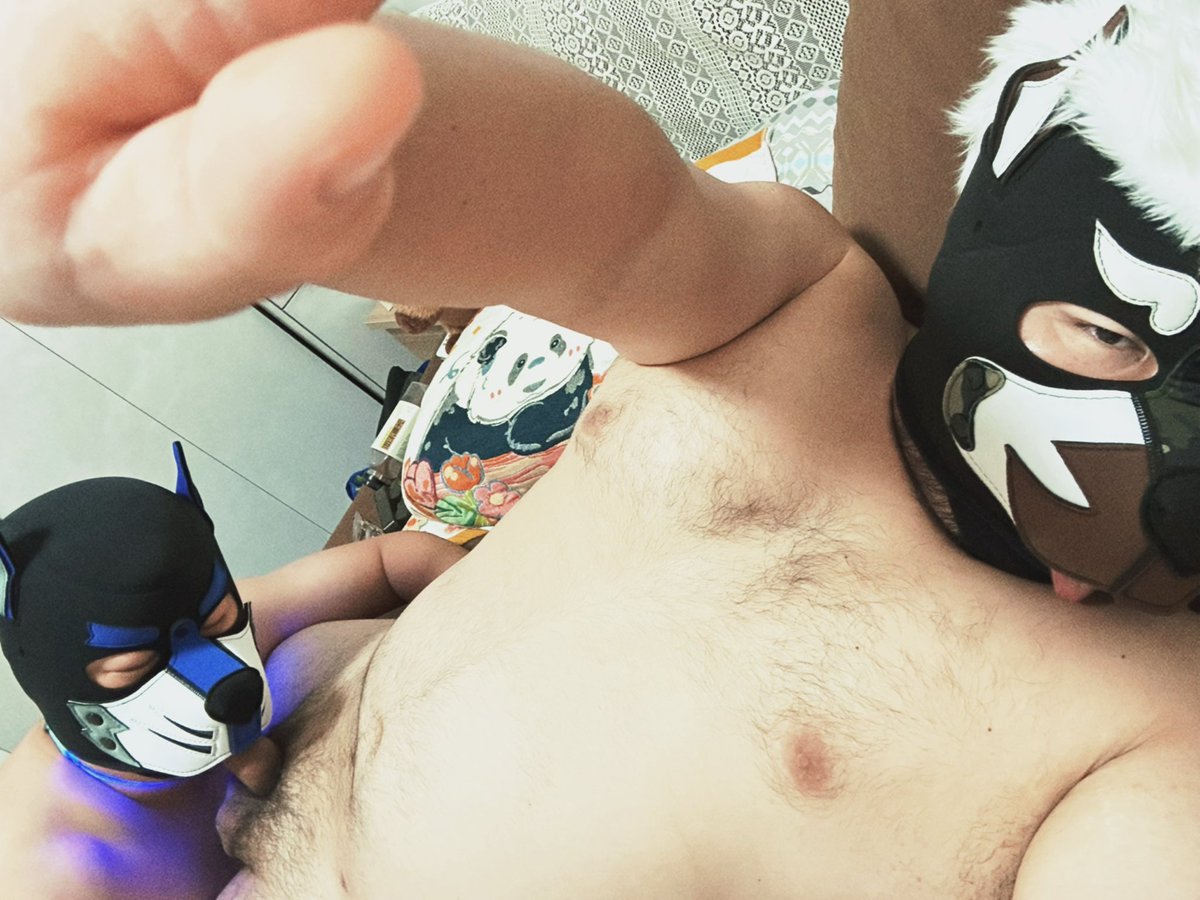 Iwaya Akira｜小哲 tweet media