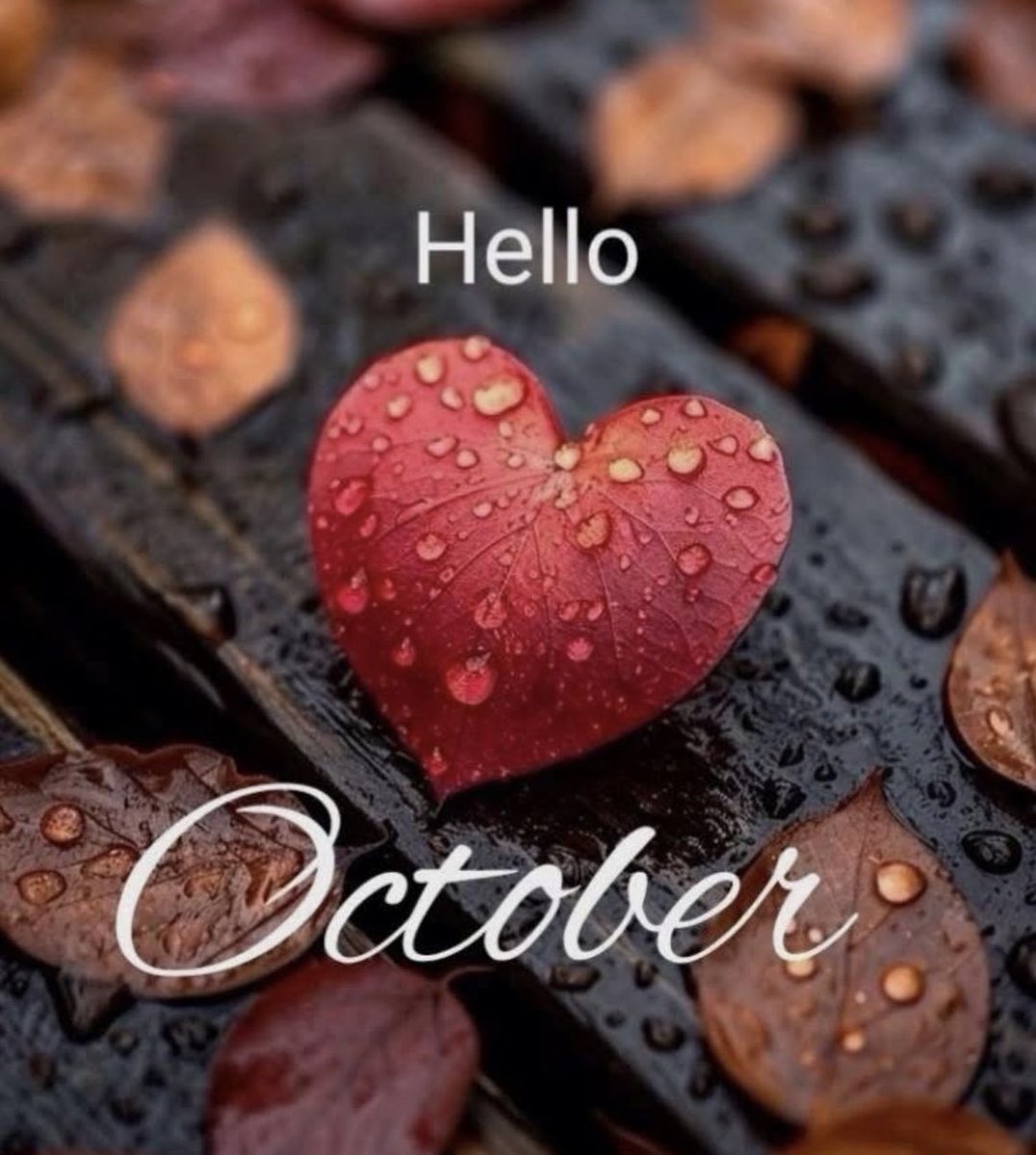Create your own Peace so that NO ONE can rob you of it! Welcome October. Full of dreams, hopes, and aspirations. 🙏