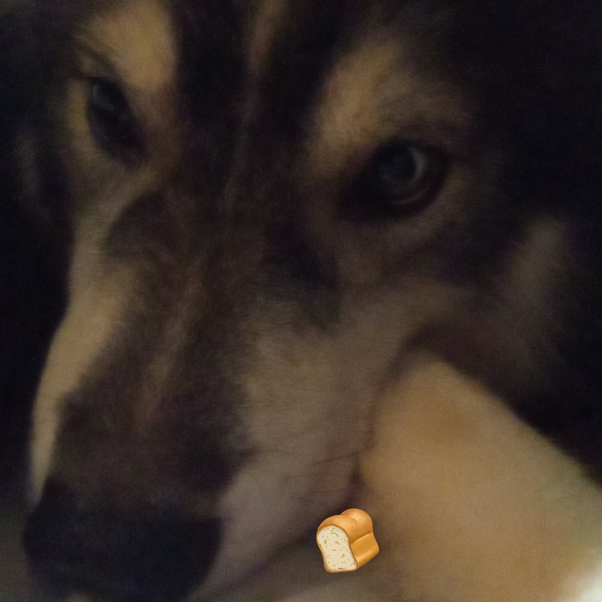 Revansche's tweet image. More like RS dump because I've been sick for a whole month... (Feat my dawg)