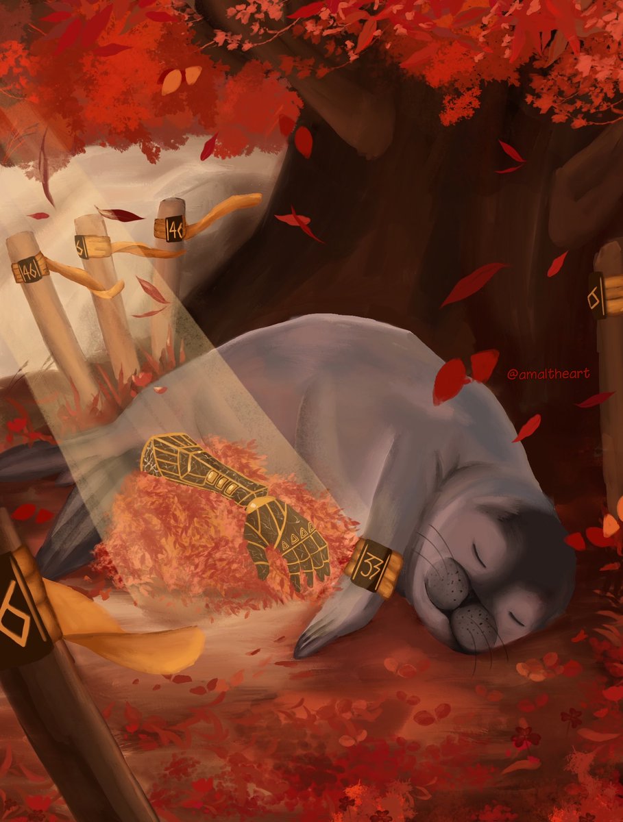 Amalthea 🌙🔮 seal lover tweet media