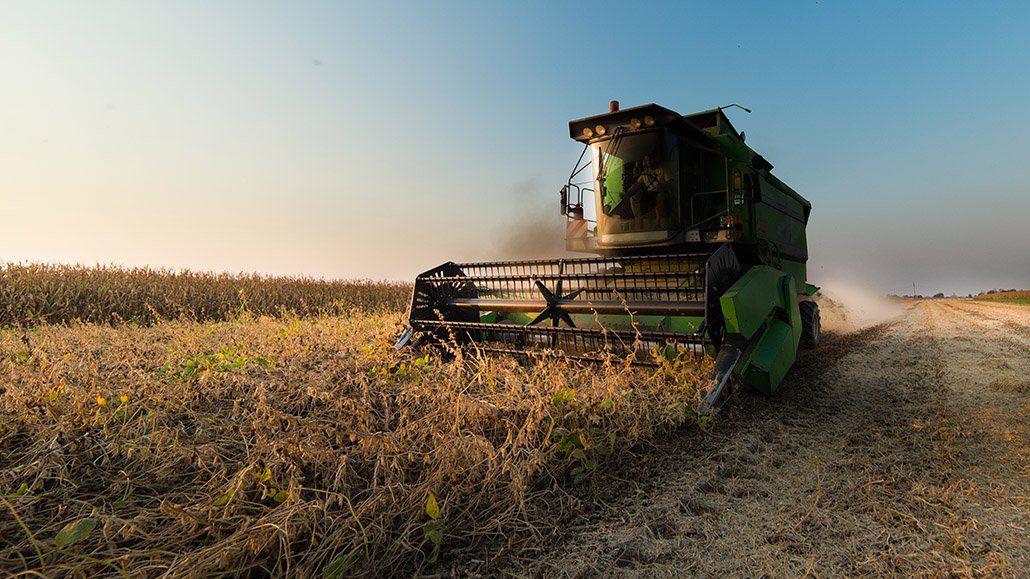 While this is less of a concern for farmers crushing their soybeans on-farm, those selling their beans should keep these harvest considerations in mind for overly dry soybeans. 
zurl.co/VOfaz 
<a href="/MSUExtension/">MSU Extension</a>