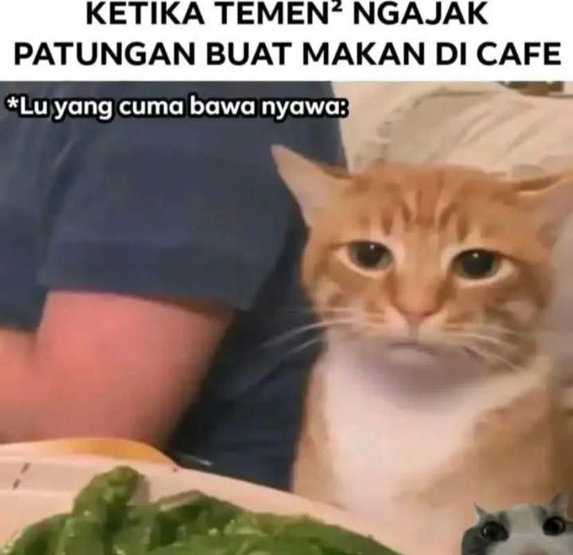 Ketawa itu GRATIS 🛩 (@kucengterbanggg) on Twitter photo 