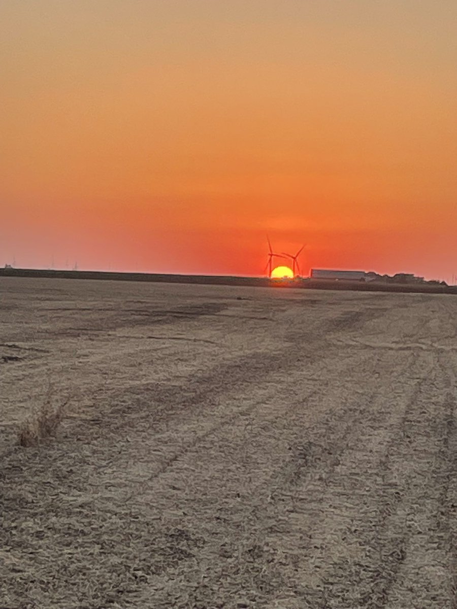 MandyHall76's tweet photo. We love fall and are working hard on Harvest 25 and our Pioneer Bingo game!  @PioneerSeeds @LandmarkAgLLC #harvestbingo25 #plantpioneer25 https://t.co/L7f3GrOIPf