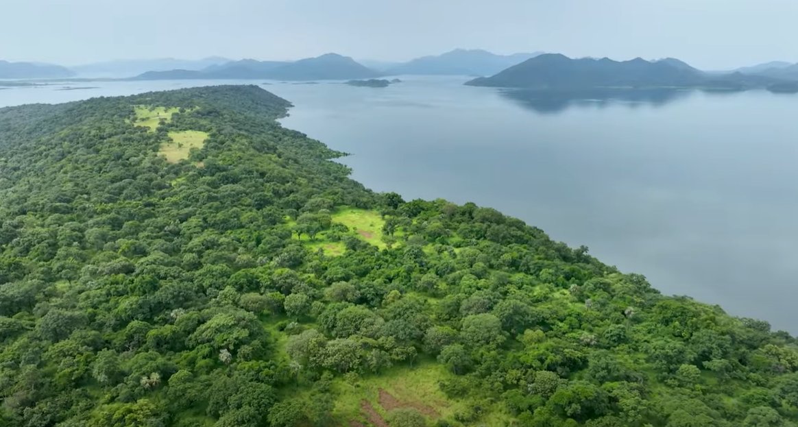 erena_hawi's tweet image. The reservoir of the Grand Ethiopian Renaissance Dam (GERD) has created stunning 70 islands waiting to be explored. This massive man-made lake is the country's next great tourism frontier. Discover your new island getaway! 🇪🇹 #VisitEthiopia #GERD #NewDestination