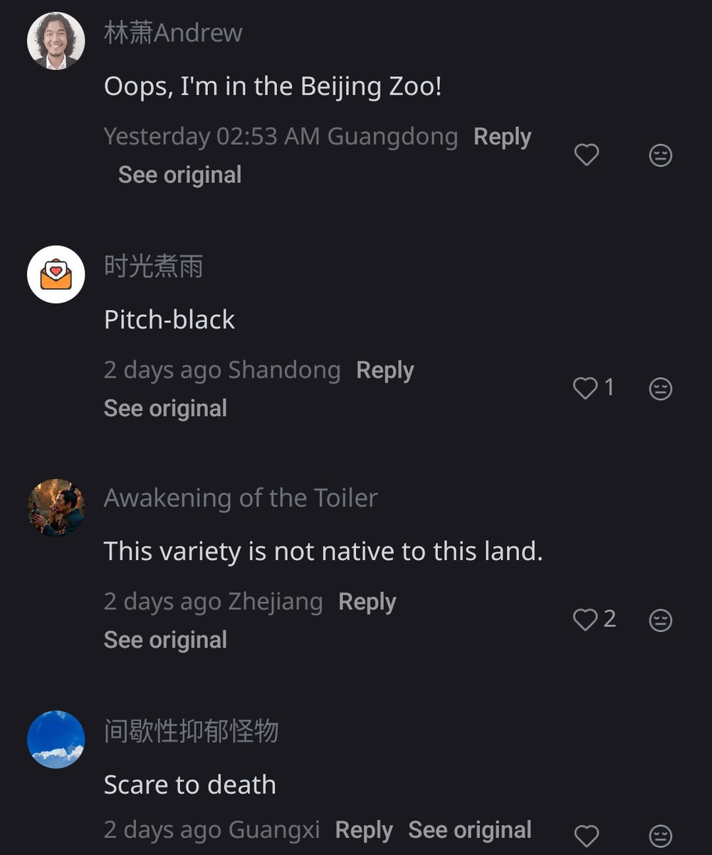 aslicheen's tweet photo. "oops, i am in Beijing zoo"

"Pitch black"

"This variety is not native to this land"

"Can you please stop recommending this dark skinned guy to me? I am not into that"

"Can i take this, to feed the dog"

"Throw it in trash can" https://t.co/MPb7FWm2Ac