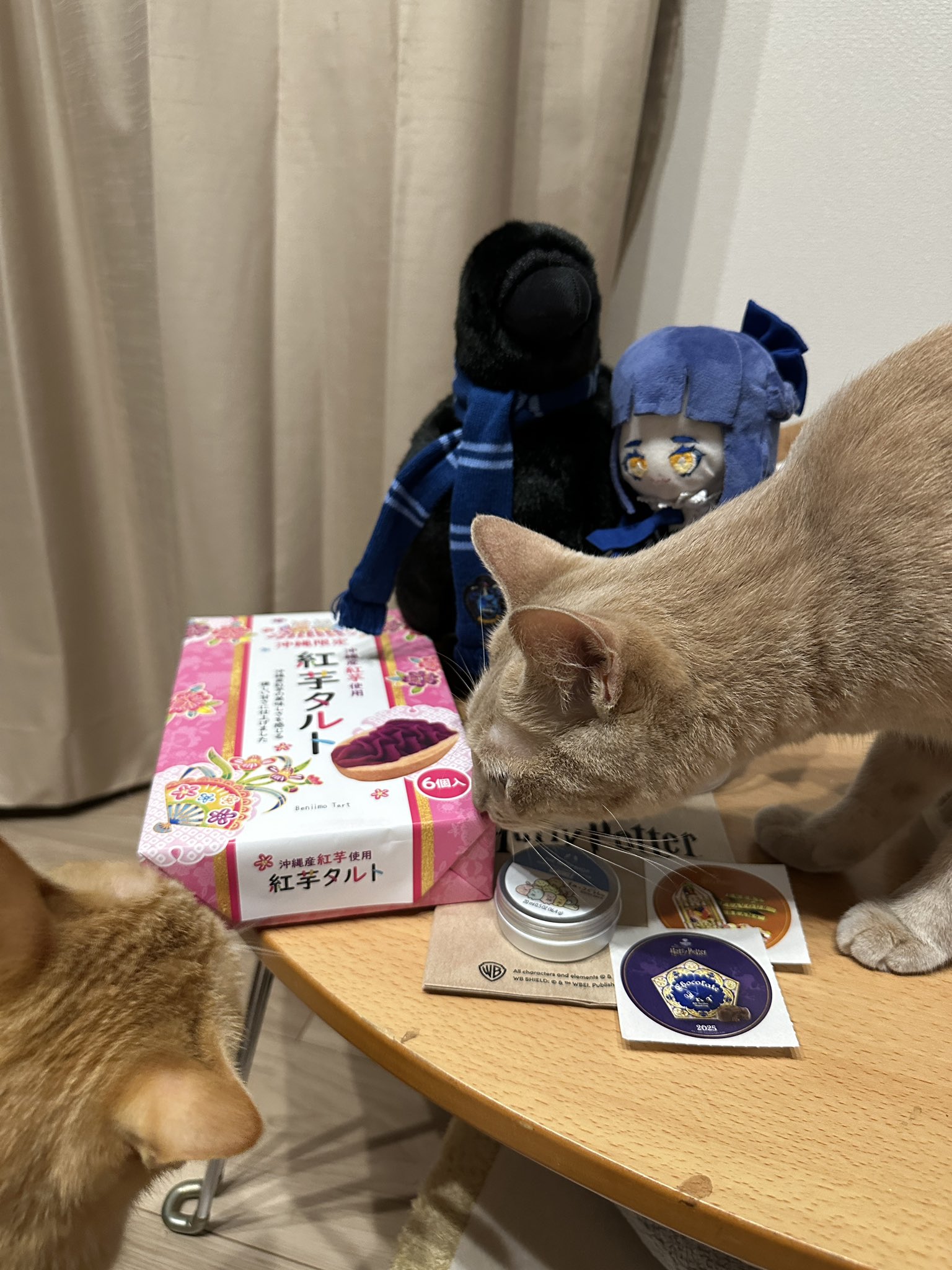 カズサ🌸TGS27日 on X: 