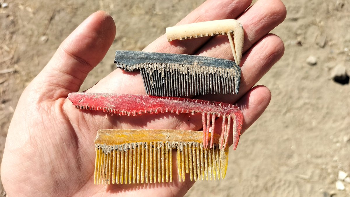 Guerra en la Universidad tweet media