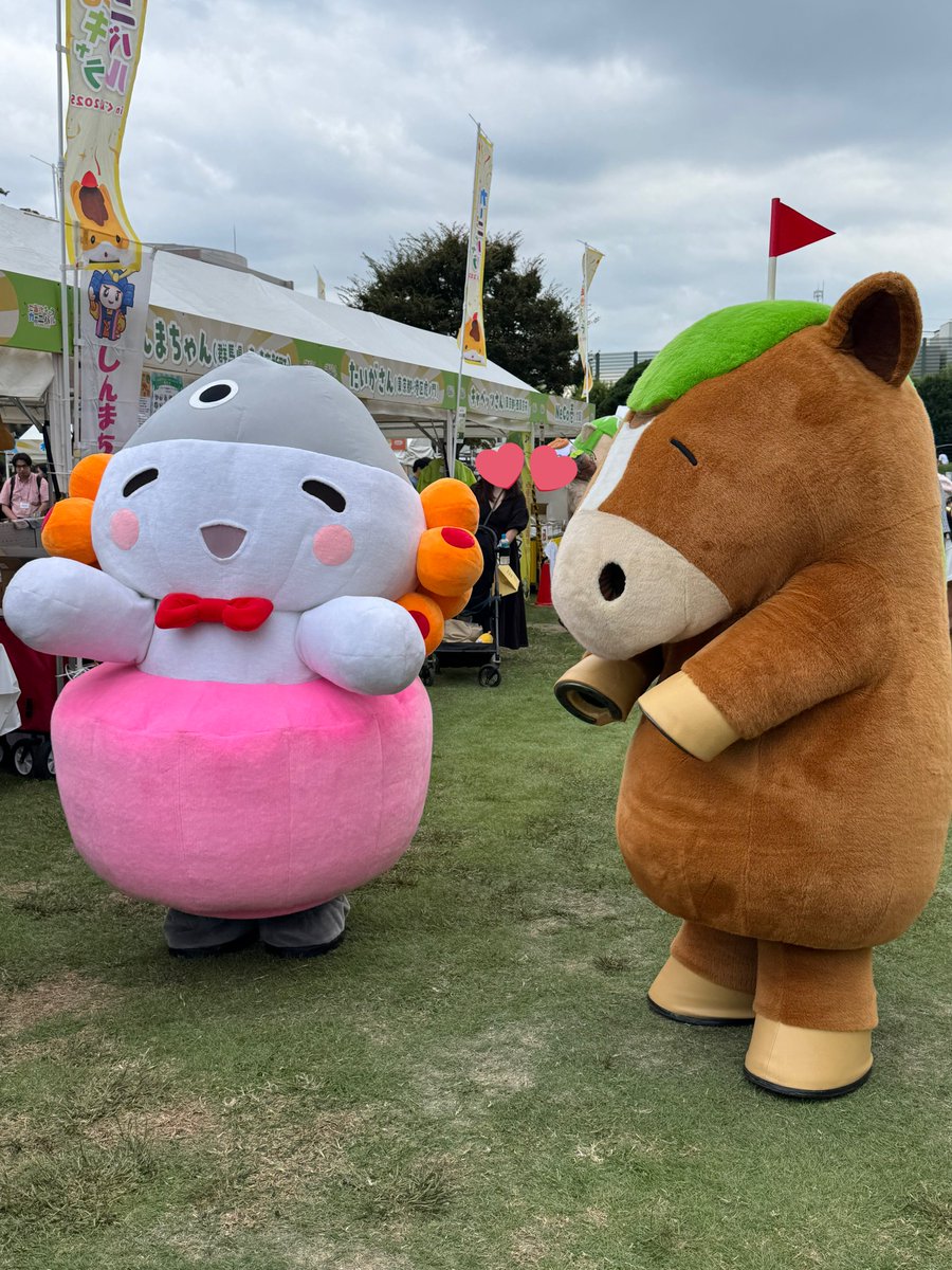 のらねこ FiTgm6pXEAEDOu7.jpg