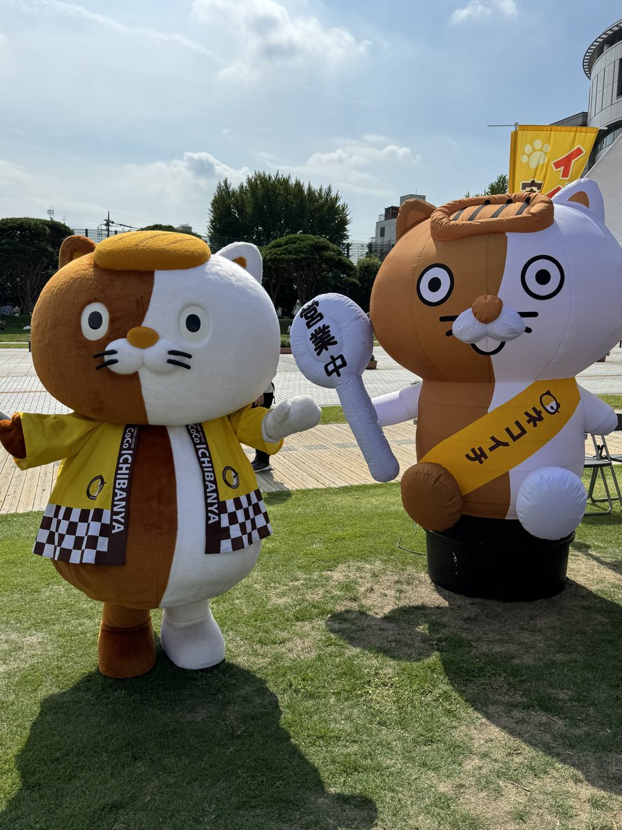 のらねこ FiTgm6pXEAEDOu7.jpg