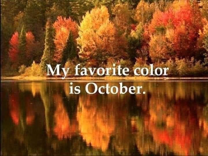 Coffee_Is_love's tweet image. &quot;October&apos;s the month
When the smallest breeze
Gives us a shower
Of autumn leaves.
Bonfires and pumpkins,
Leaves sailing down —
October is red
And golden and brown.&quot;
~Author unknown

Hello October my favorite month! 
#helloOctober 
🍁🍂🎃