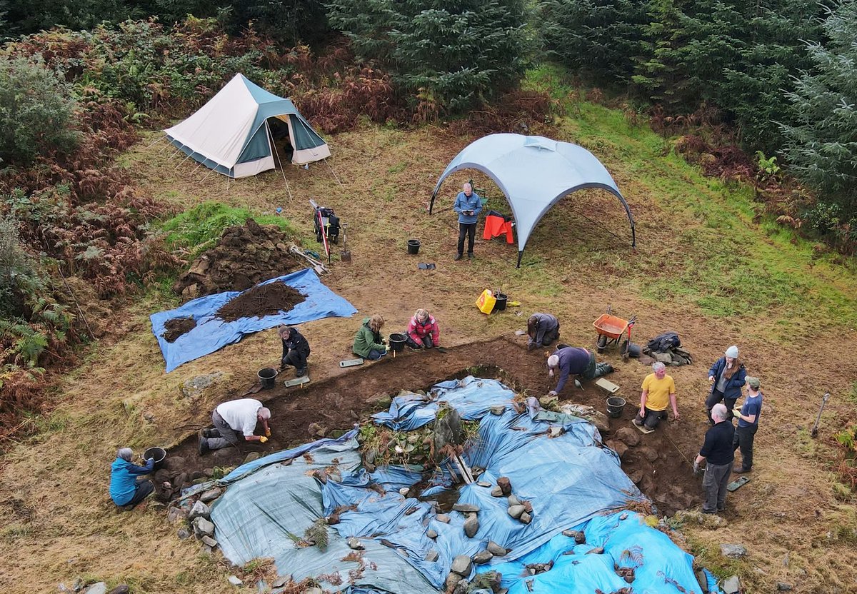 Stronafian Community Forest tweet media