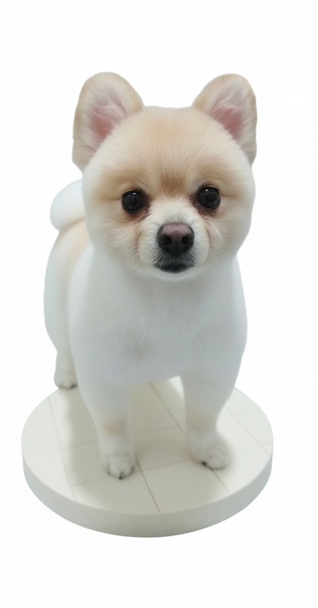 AIでくぅちゃんをフィギアにしてみたら可愛すぎた😍
実際に欲しい🥺🥺