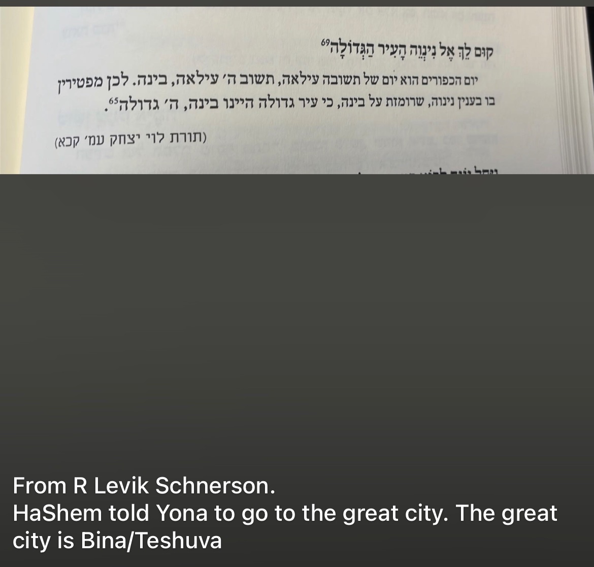 Reuven Boshnack (@reuvenboshnack) on Twitter photo 