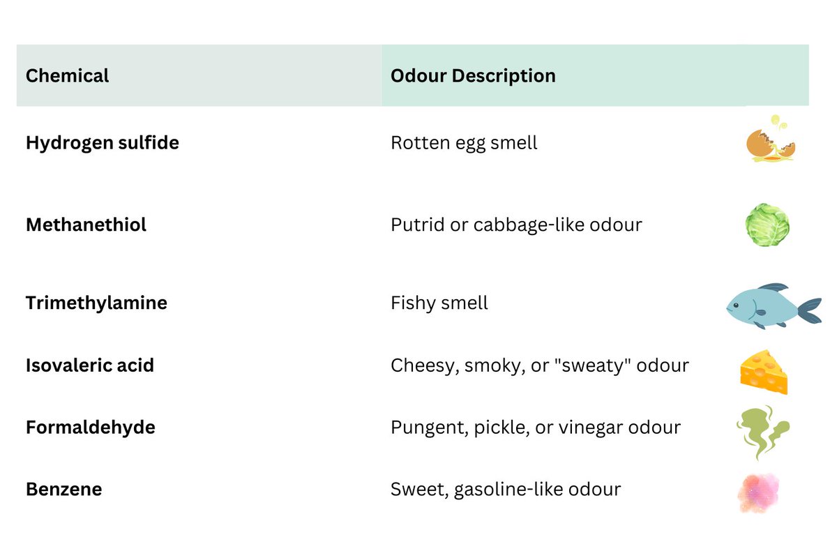 CamfilCanada's tweet image. Don’t mask bad smells -eliminate them. 🧪
Molecular filtration tackles odours at the source using adsorption &amp;amp; chemisorption for #wastewater, food plants, #DataCentres, cannabis production, etc. cleanair.camfil.ca/the-ultimate-g…

#OdourControl #MolecularFiltration #IAQ #VOCs #IndustrialAir