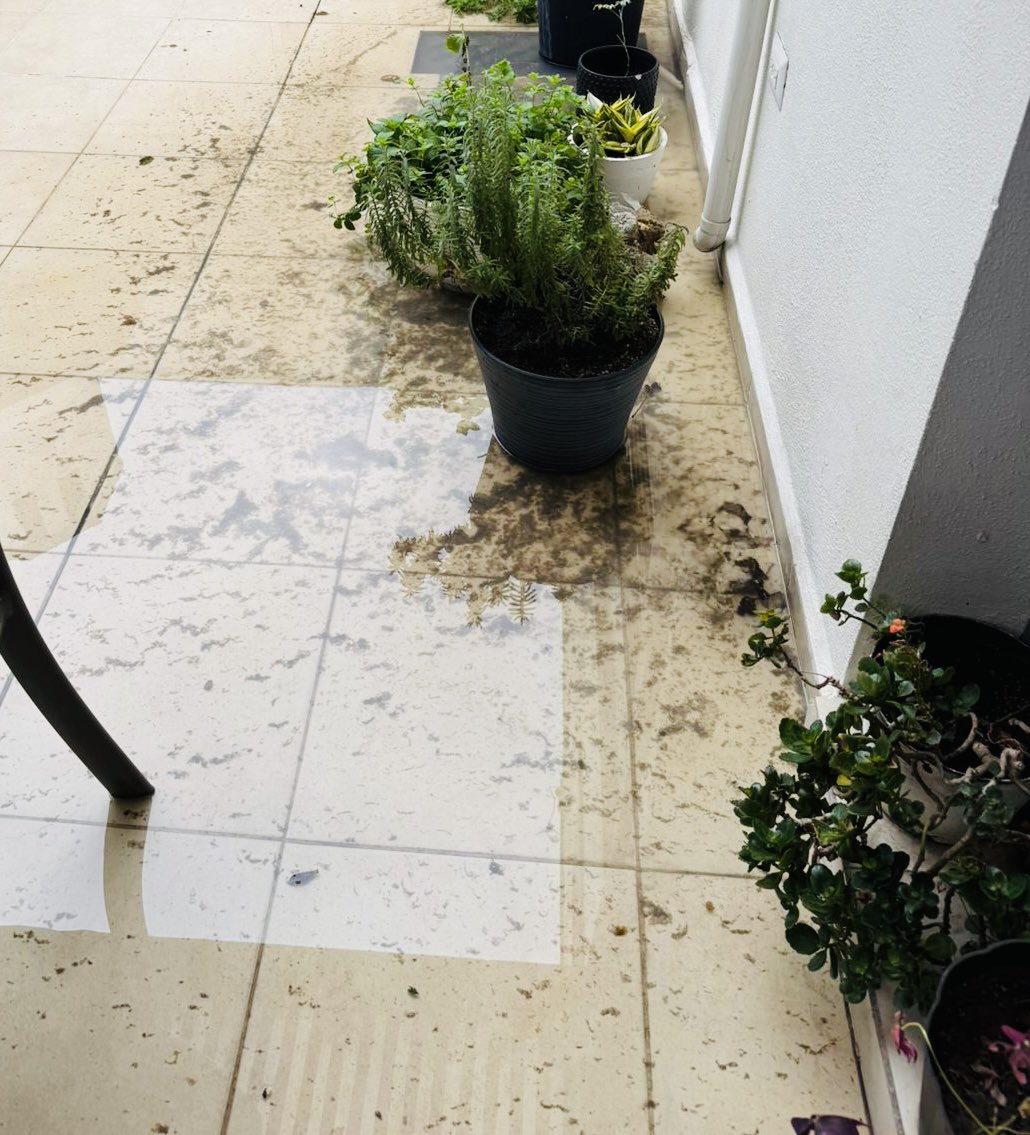 Tengo 8 días de haber reportado aguas negras en el interior de mi propiedad, ya fue un plomero y el problema es de la banqueta a la descarga, tenemos en casa a dos abultados mayores que requieren atención especial, les agradecería  que fueran # reporte 3-1274349  <a href="/ayd_monterrey/">Agua y Drenaje Mty</a>