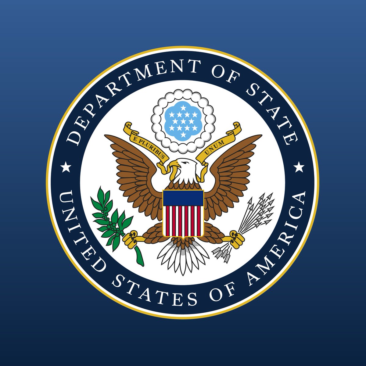 Art in Embassies tweet media