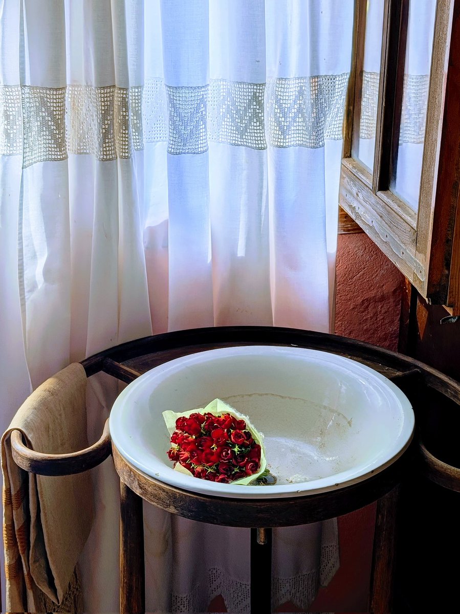 Aquella casa entre les Muntanyes de Prades.
Aquella finestra.