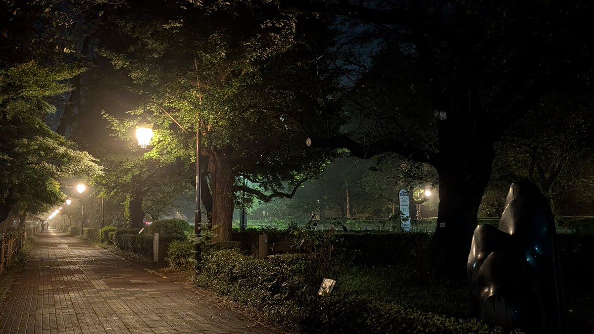 kunitachimegane's tweet photo. 弊社から徒歩5分、国立市大学通り
🔵🔵雨の音と共に、静かな夜🔵🔵 https://t.co/pmwhsQwlMM