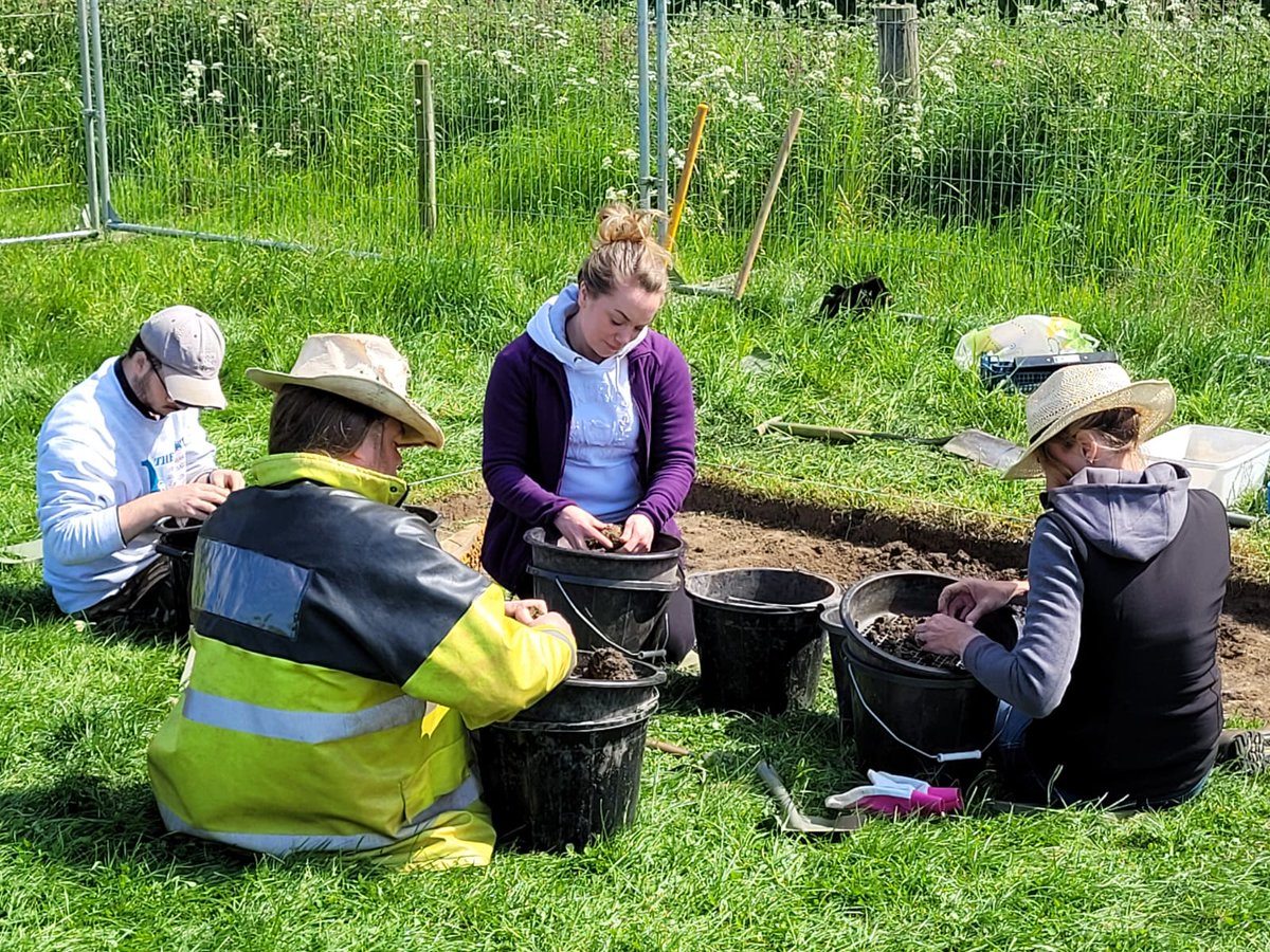 Mercian Archaeological Services CIC tweet media