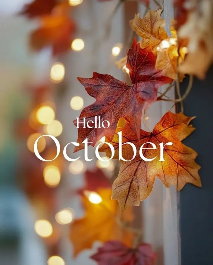 adiiii17_'s tweet image. Hello, October! 🍁

Golden leaves and crisp air.

#October2025
