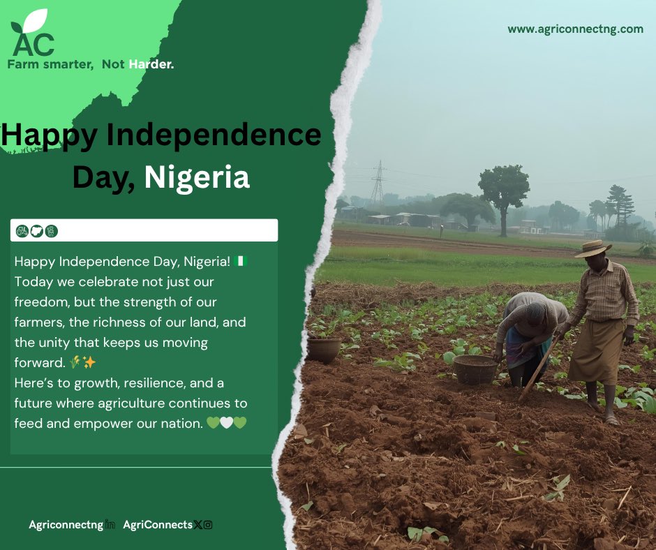 AgriConnects's tweet photo. Celebrating Nigeria's Independence Day with the strength and resilience of our farmers! 🌱🇳🇬 #IndependenceDay #Nigeria #Agriculture https://t.co/NrGr38VJ2C