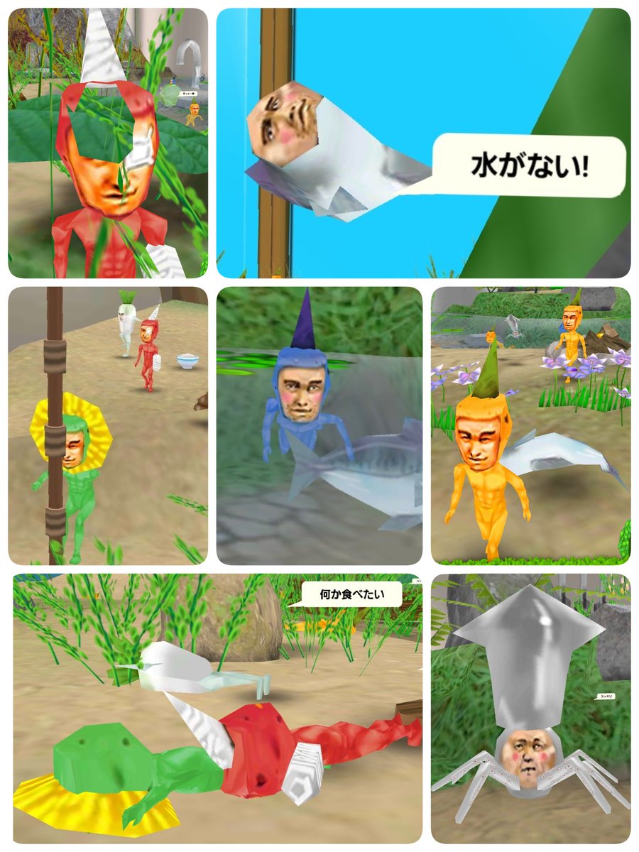 カルダモンちゃん tweet media