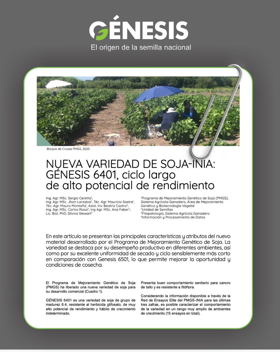 Semillas Génesis tweet media