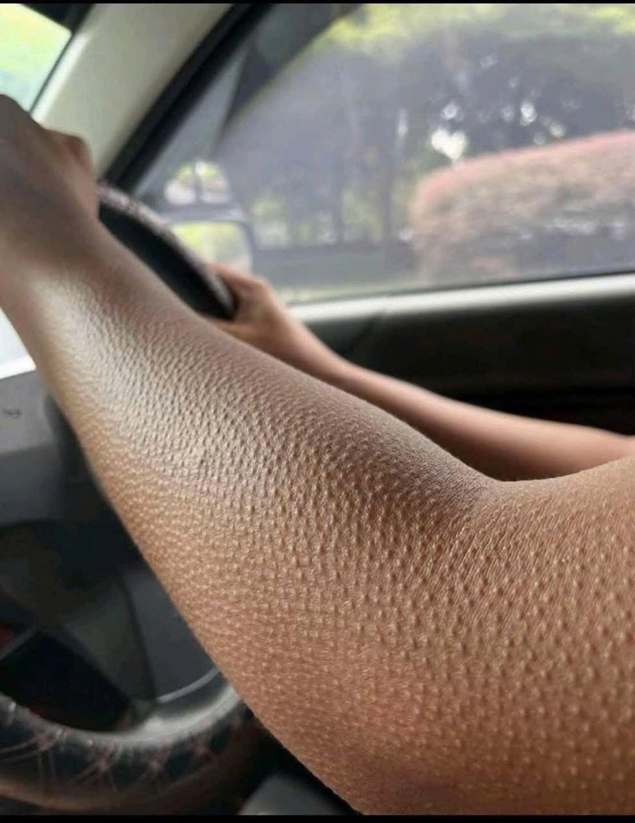 kupa208's tweet image. 🚨 Testnet-3 is coming 📷 
📷@dango closer to Mainnet.  Who’s ready to explode with Dango? 📷  
#Dangbros #Testnet3