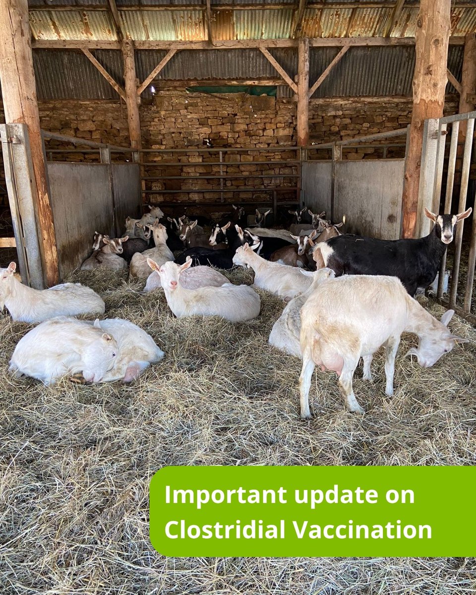 Paragon Farm Vets tweet media