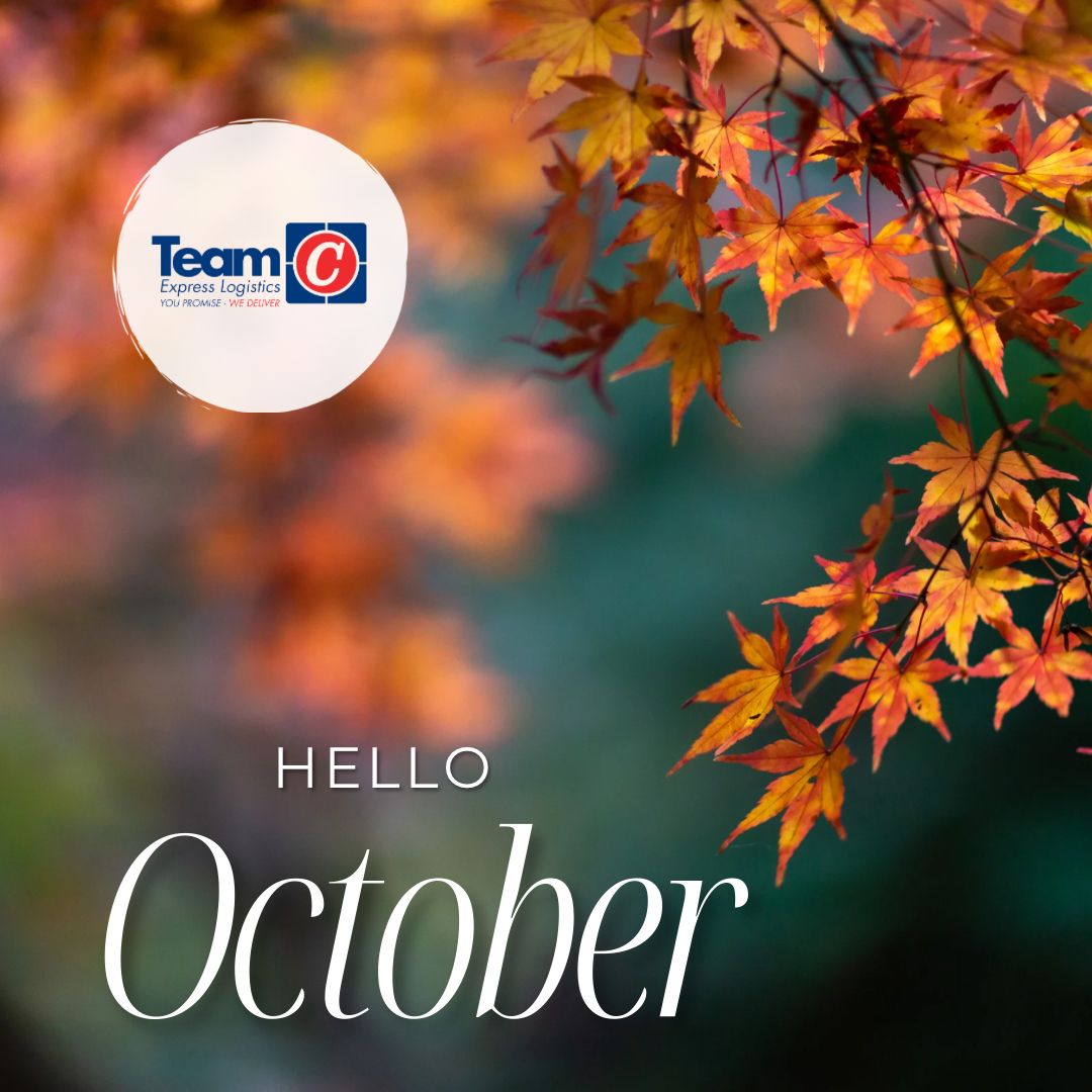 How can we help you this month?

Looking to deliver some parcels or pallets, big or small?

Or maybe you want to become a Team C customer or even have an early question about our Christmas deliveries.

Whatever you need, we have the answer - teamc.co.uk.