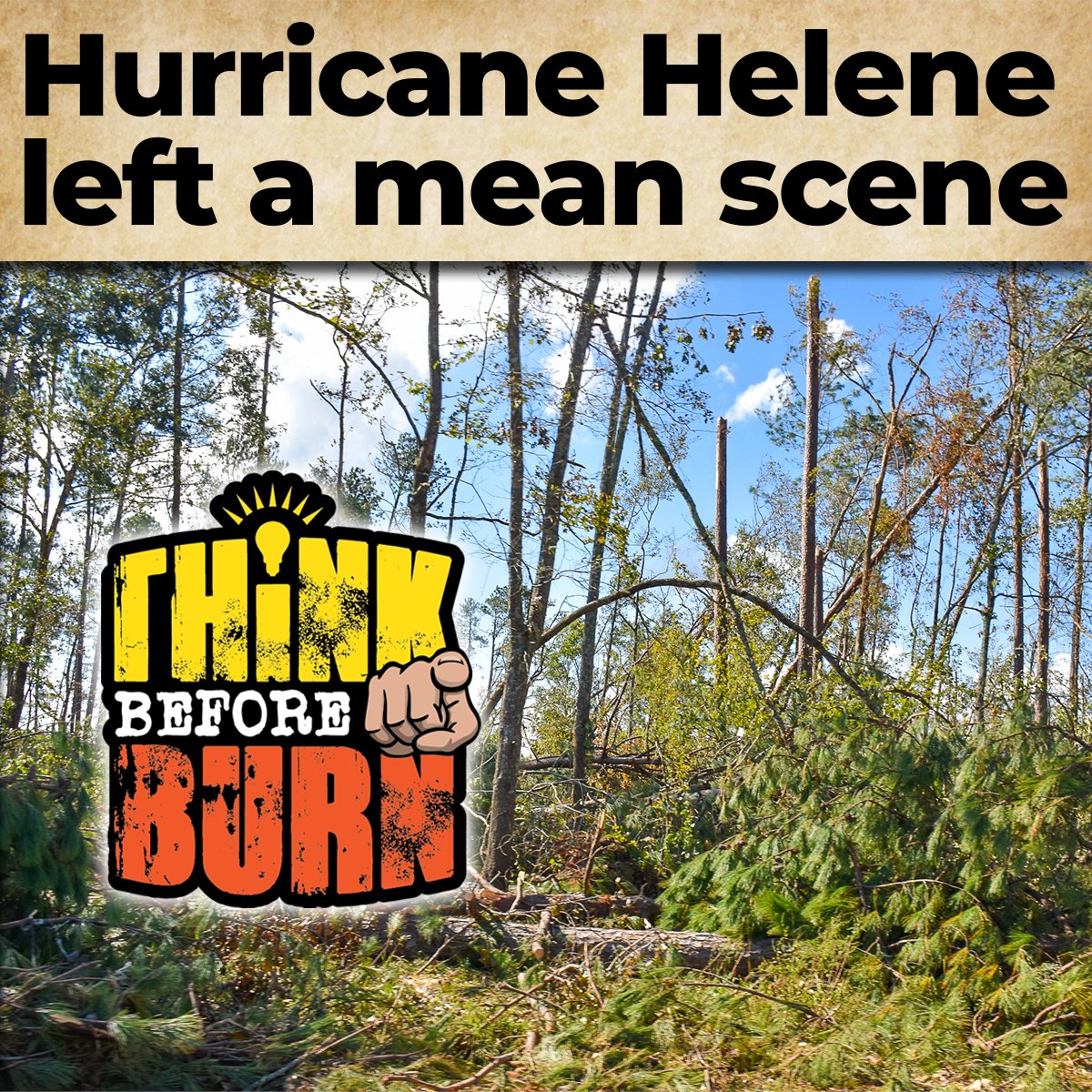 South Carolina Forestry Commission tweet media