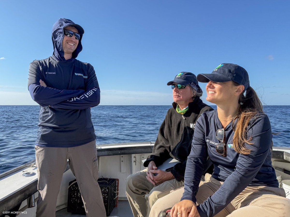 100 years ago, WCS scientists explored #HudsonCanyon. What set this work apart was not just the science but how it was shared with the public.

Today, we carry this legacy forward, says WCS’s <a href="/JohnCalvelli/">John Calvelli</a>, as part of a campaign to protect it. to.pbs.org/4gLgfgg