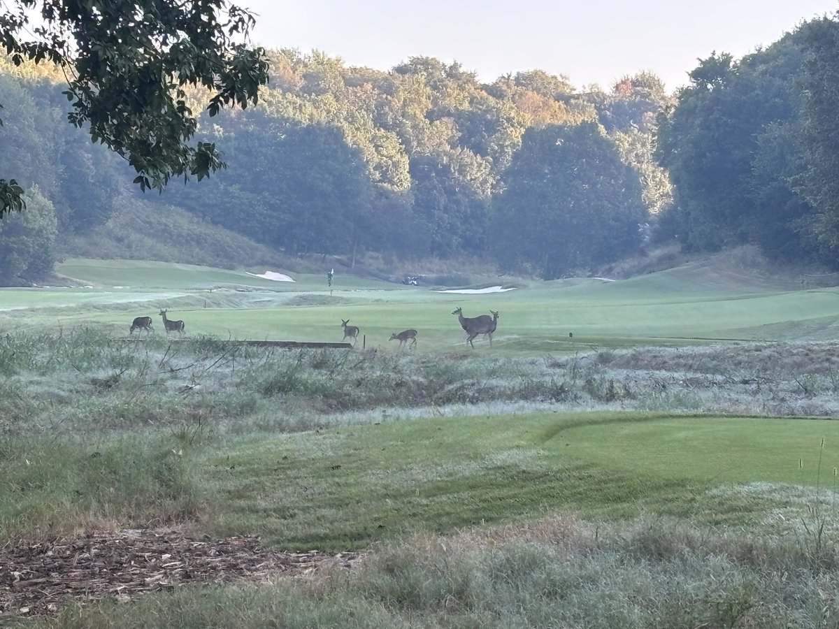 Chris Cook, CGCS tweet media