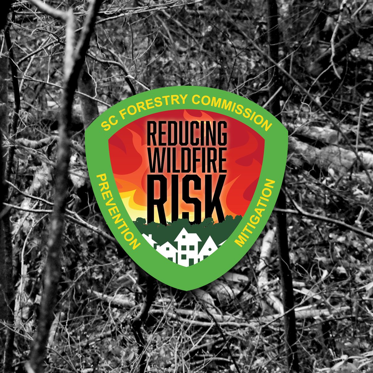 Today we kick off National Fire Prevention Month with a simple reminder to THINK BEFORE YOU BURN to prevent wildfires! Hurricane Helene swept through South Carolina just over a year ago, leaving stands of downed trees and woody debris covering the landscape. These downed fuels