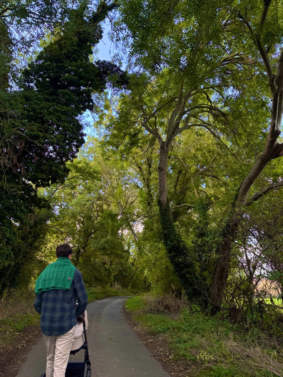 Day 5: introducing baby Francis to the fields and trees of my childhood and the youthful radiance of an early autumn’s day