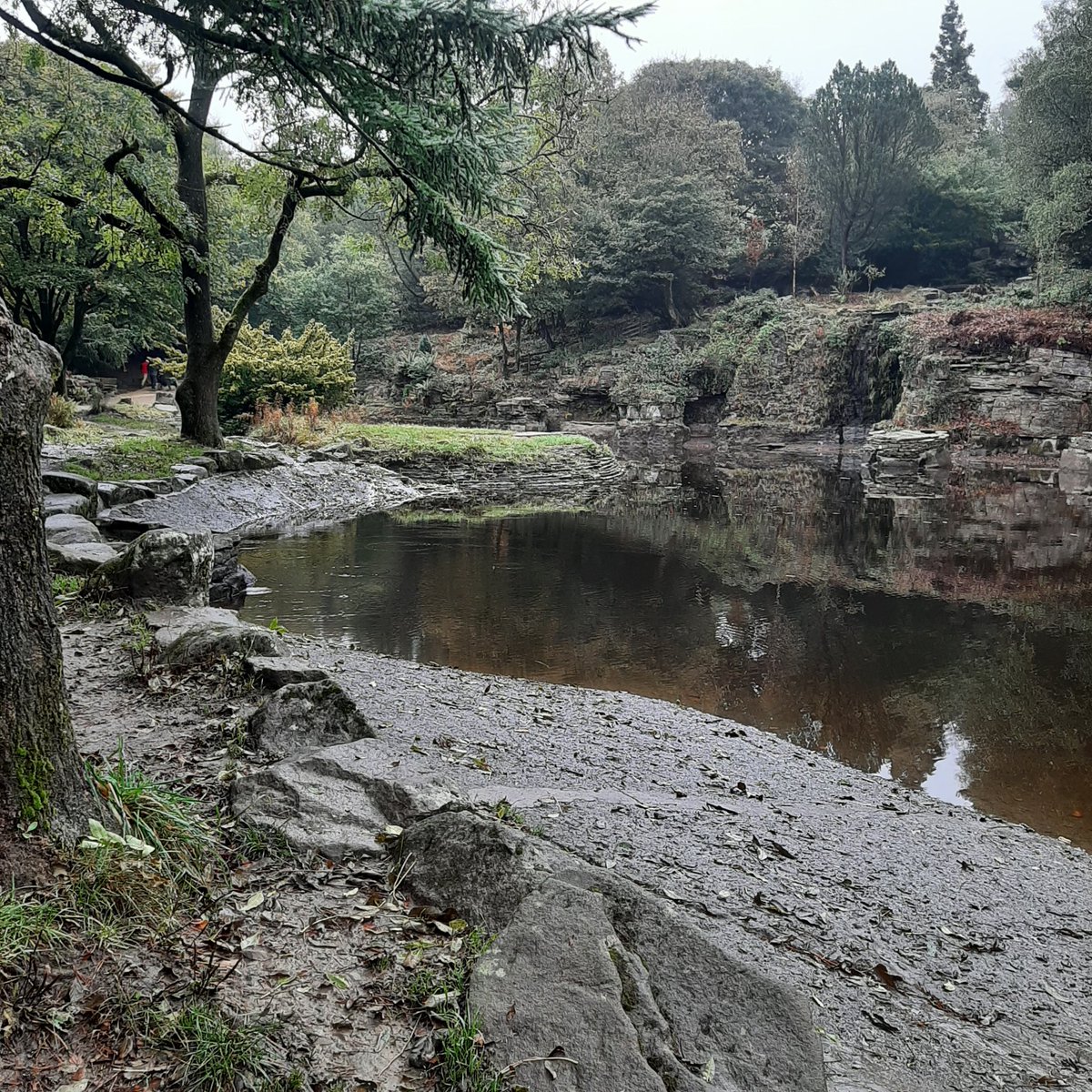 We've been to Lever Park in Bolton today for a nice walk and to see the Japanese garden/lake.
#leverpark  #walk #bookmarkquinn #japanesegardens #wildlife #nature